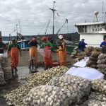 MARISCOS CHILOE